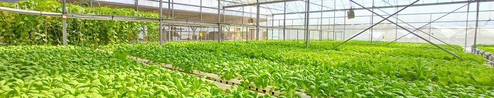 65d8c2e7-9440-4275-8285-81de300b51af